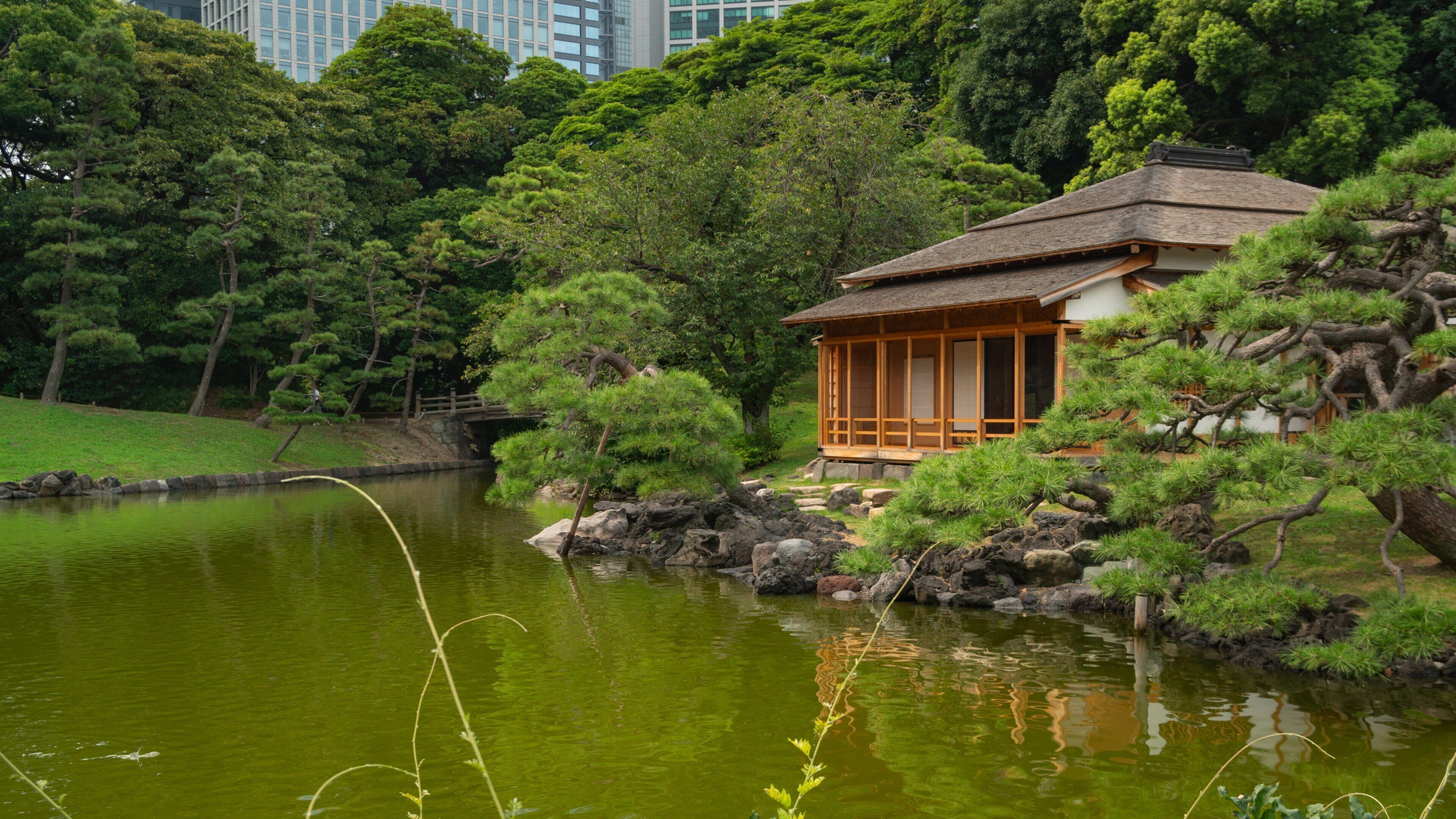 Hamarikyu Gardens which includes a pond