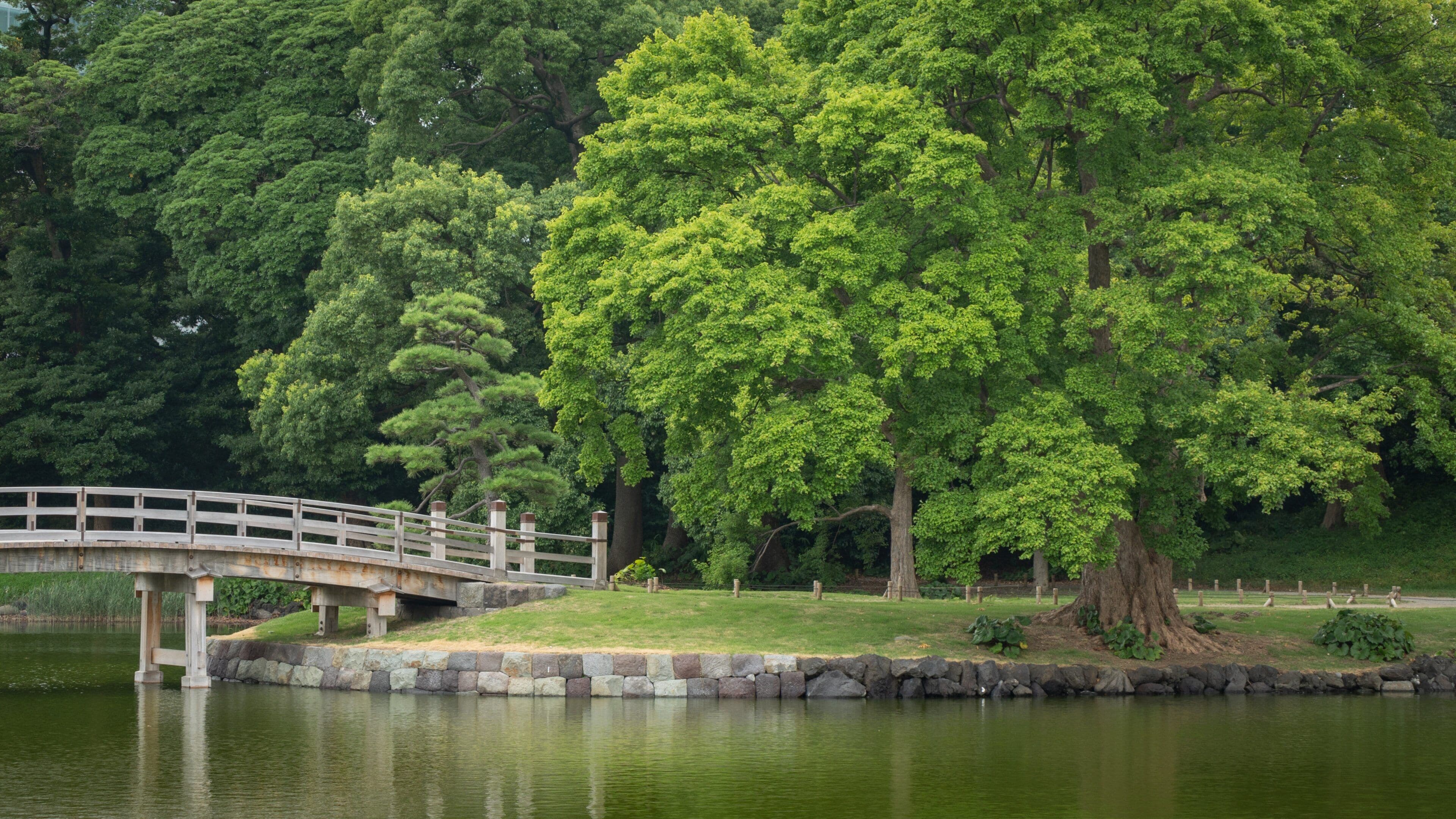 Hamarikyu Gardens featuring a pond