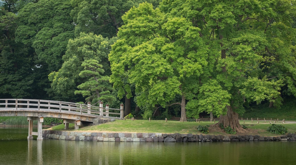 Hamarikyu Gardens featuring a pond