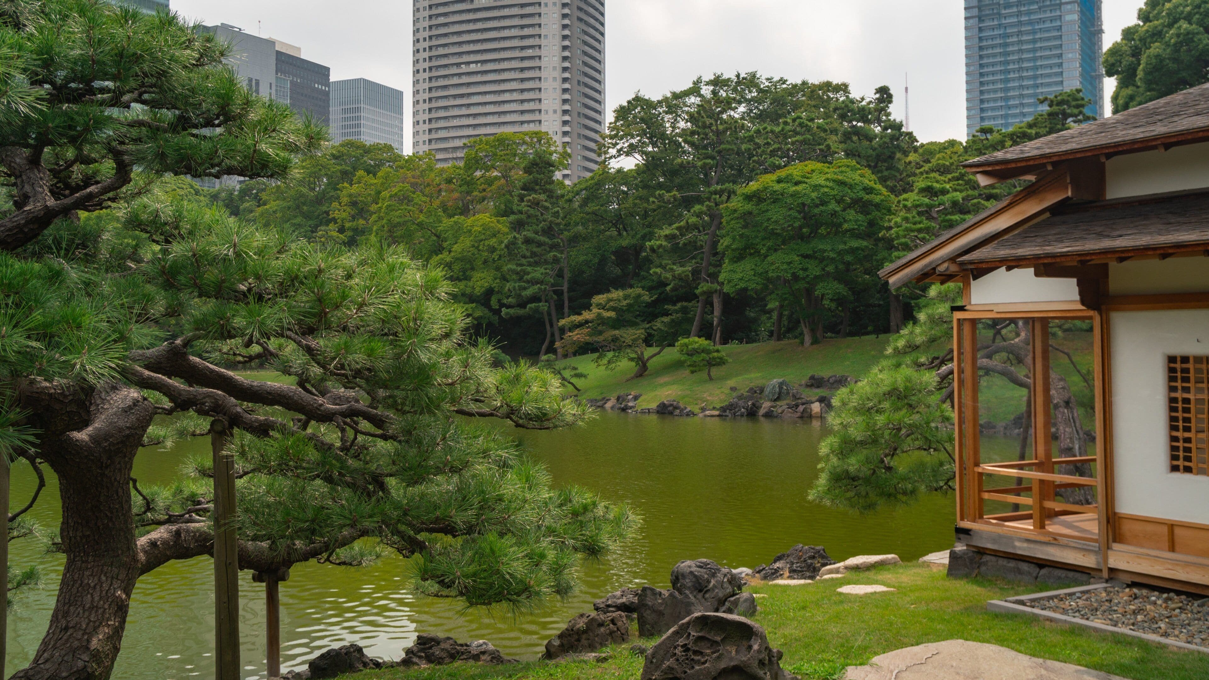 Hamarikyu Garden