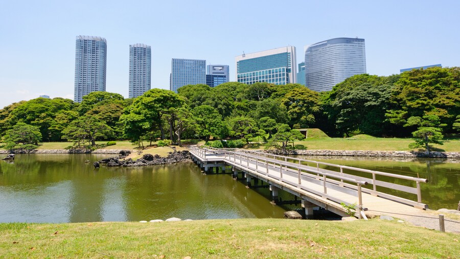 Hamarikyu-tuin