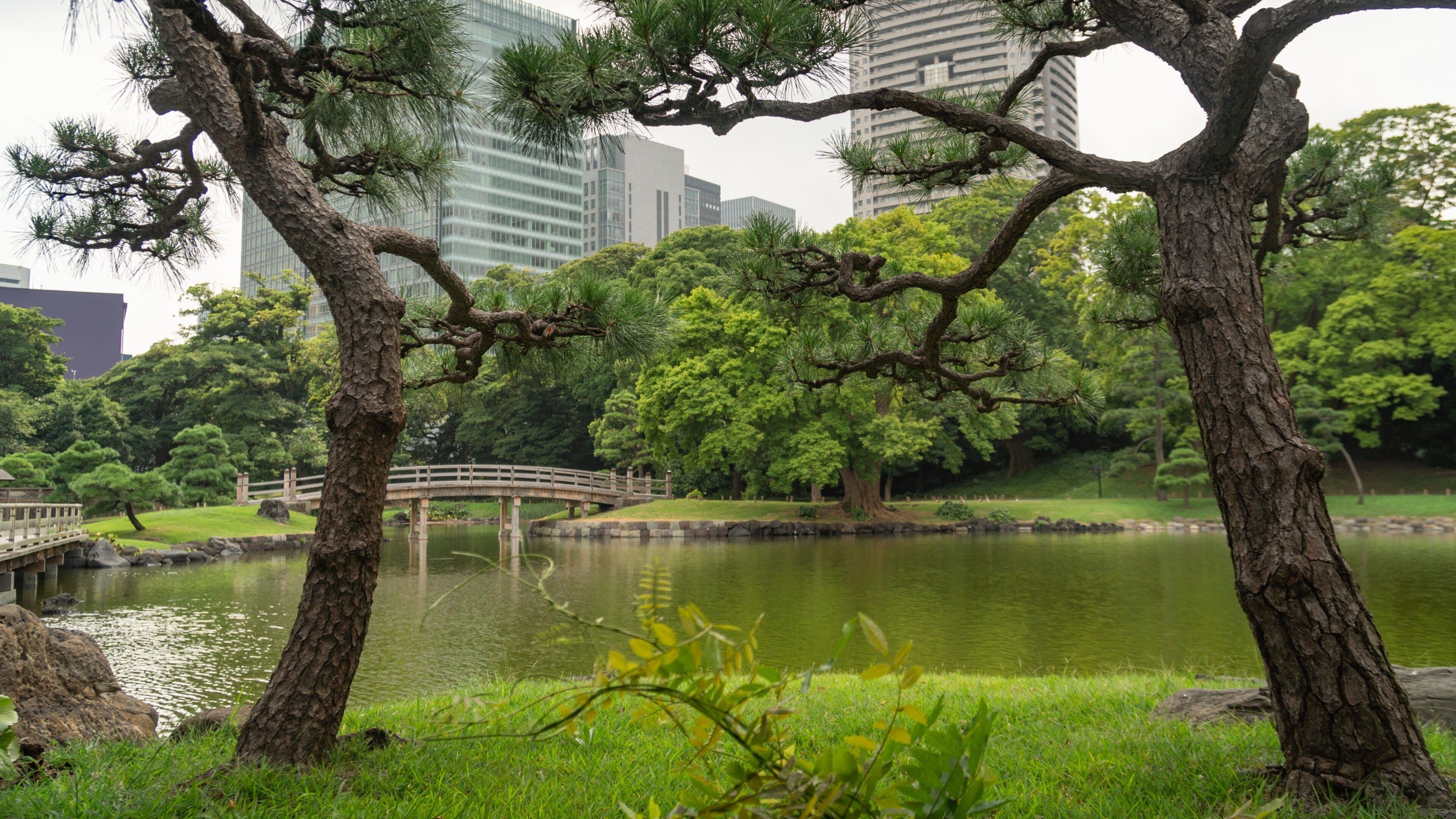 Hamarikyu Garden