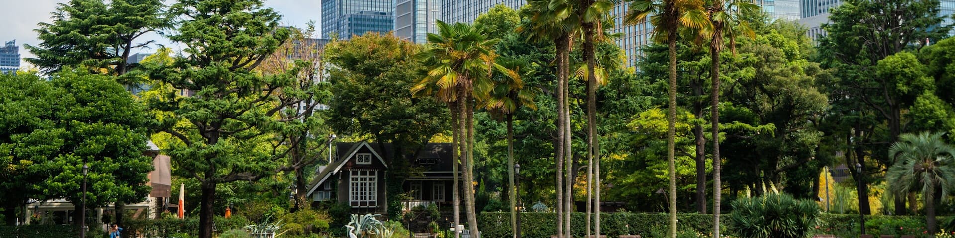 Hibiya Park showing a garden