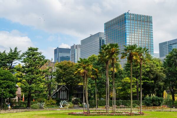 Hibiya Park showing a garden