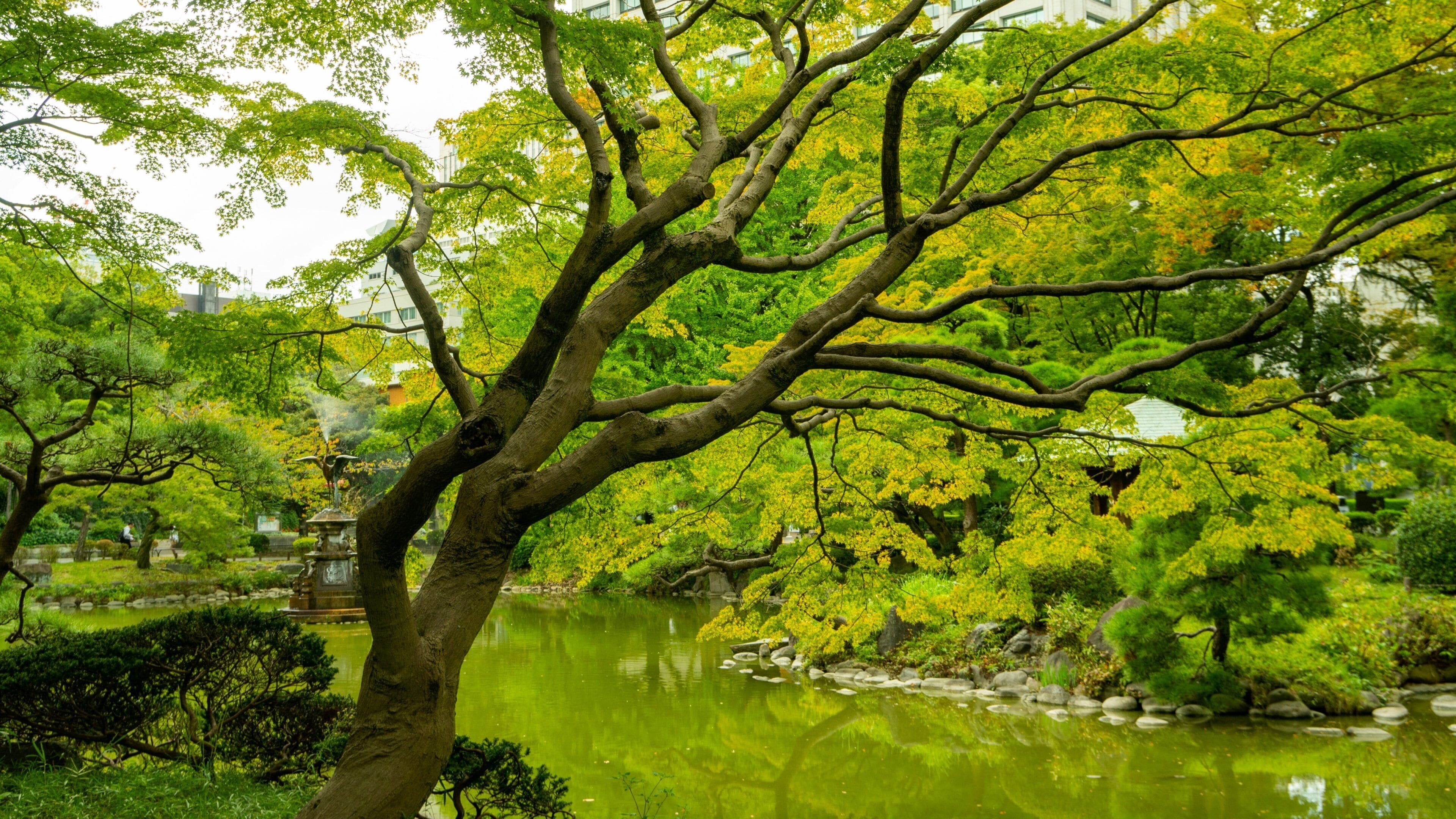 Hibiya Park showing a pond