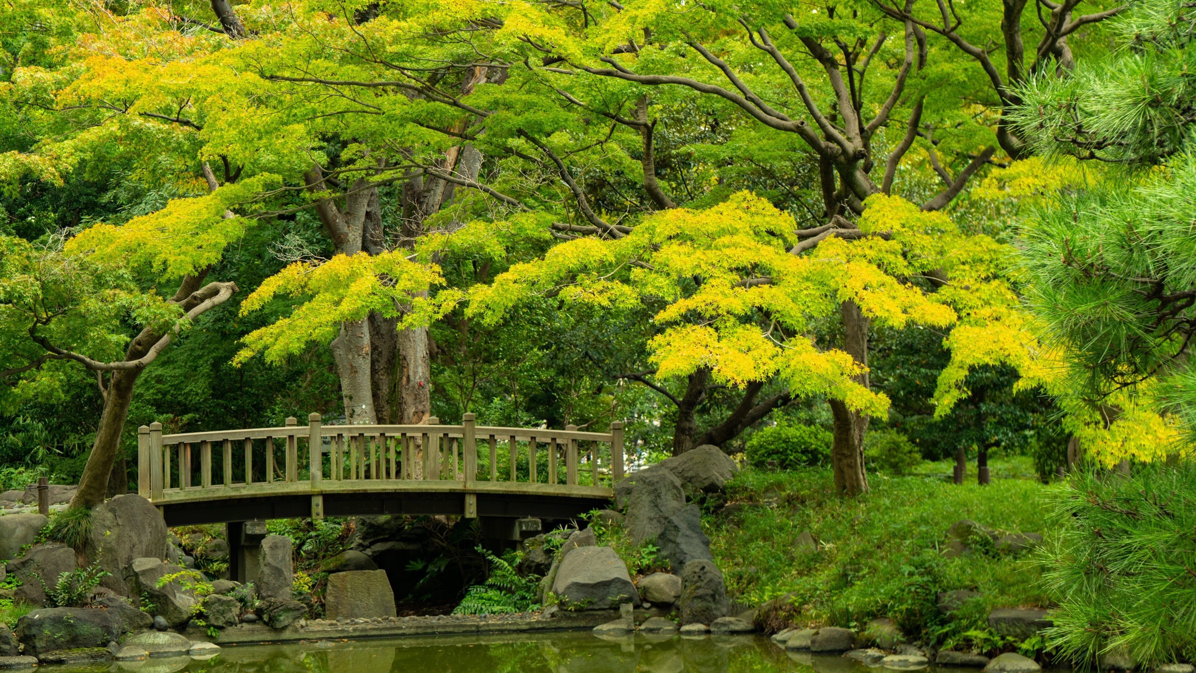 Hibiya Park which includes a pond, a bridge and a park