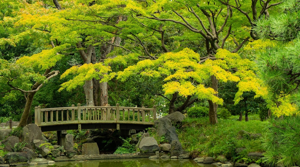 Hibiya Park which includes a pond, a bridge and a park