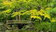 Un pont en bois enjambe un étang dans un jardin luxuriant, où le feuillage est d’un vert et d’un jaune éclatants.