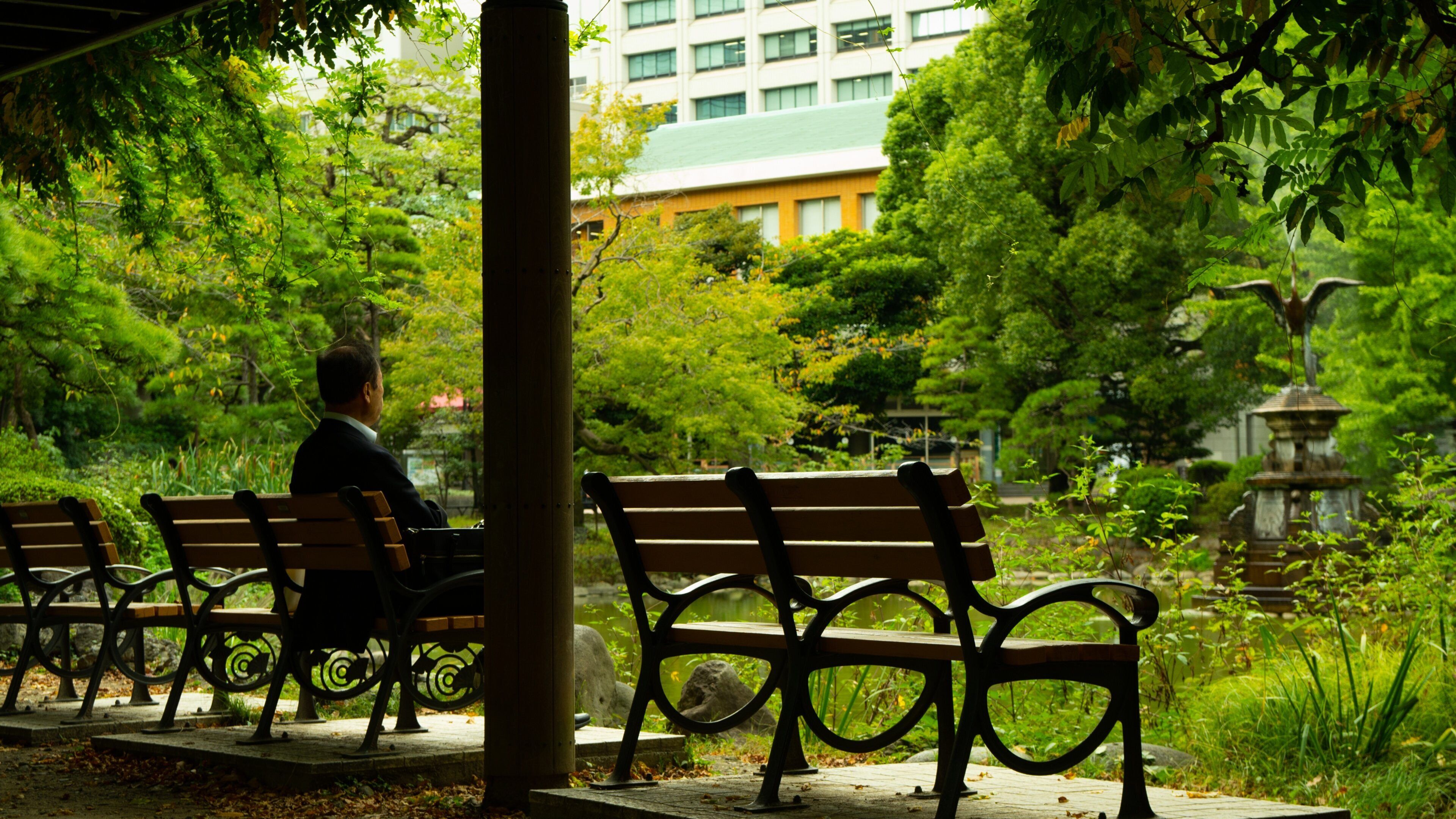 Hibiya Park featuring a park as well as an individual male