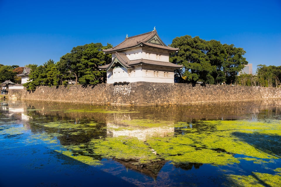 Um castelo japonês tradicional com muralha de pedra e fosso com algas verdes.