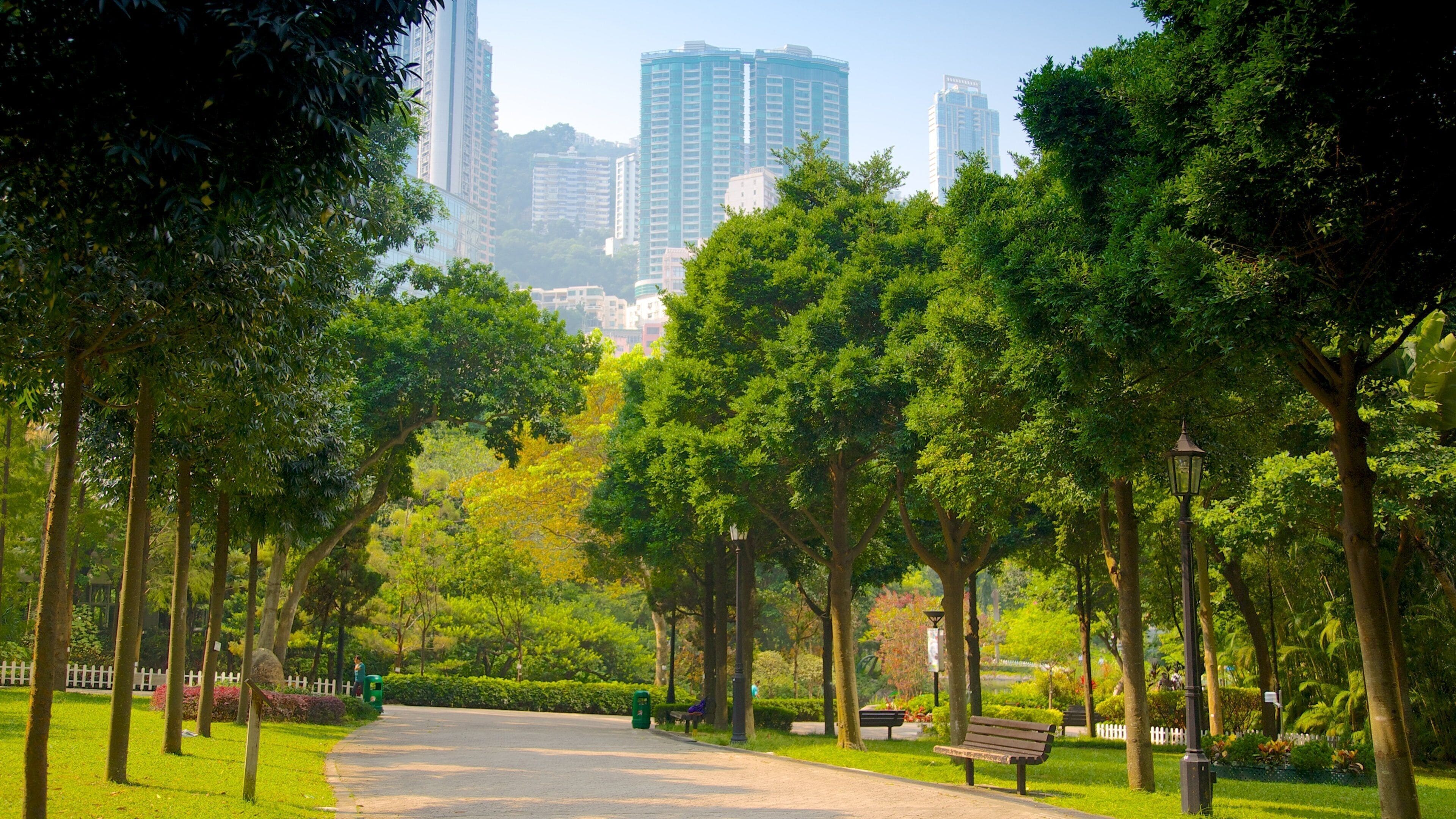 Hong Kong Park featuring a garden