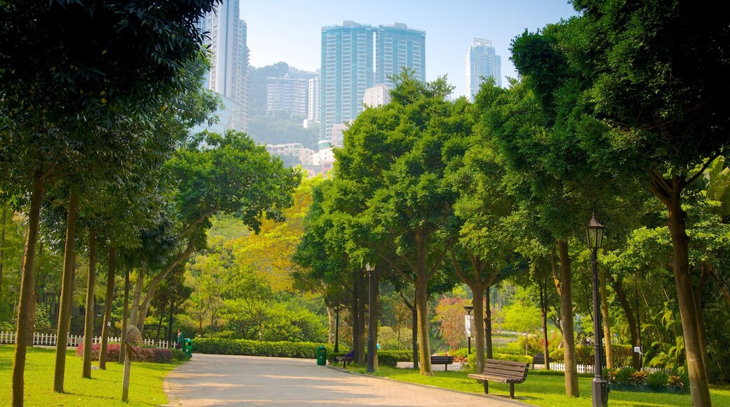 Hong Kong Park featuring a garden