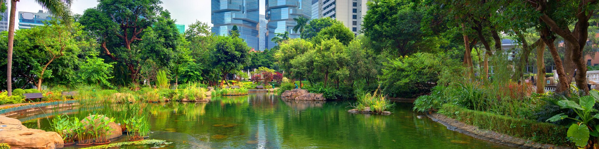 View of high rises from Hong Kong Park in Hong Kong, China