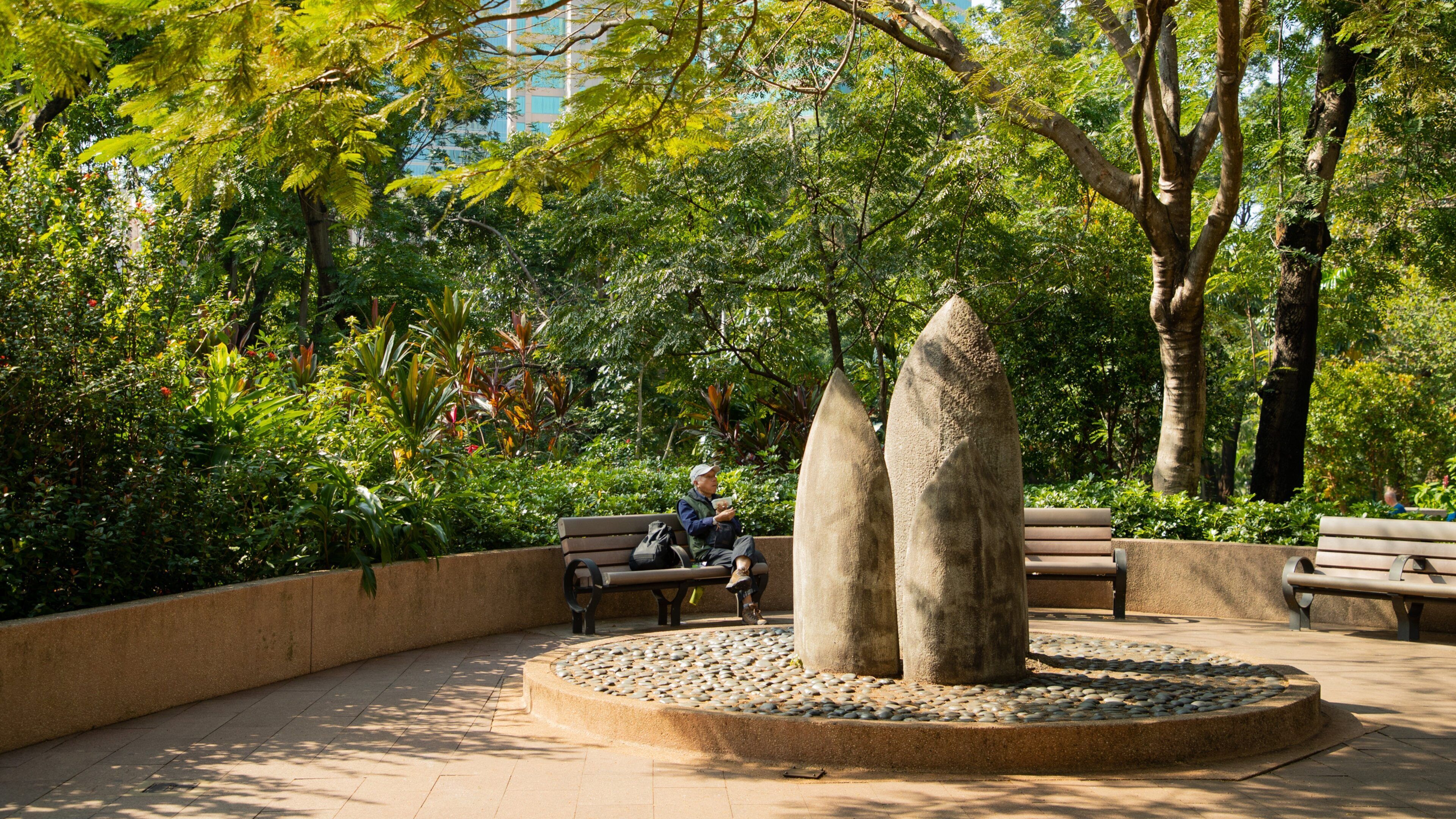 Kowloon Park showing a park as well as an individual male