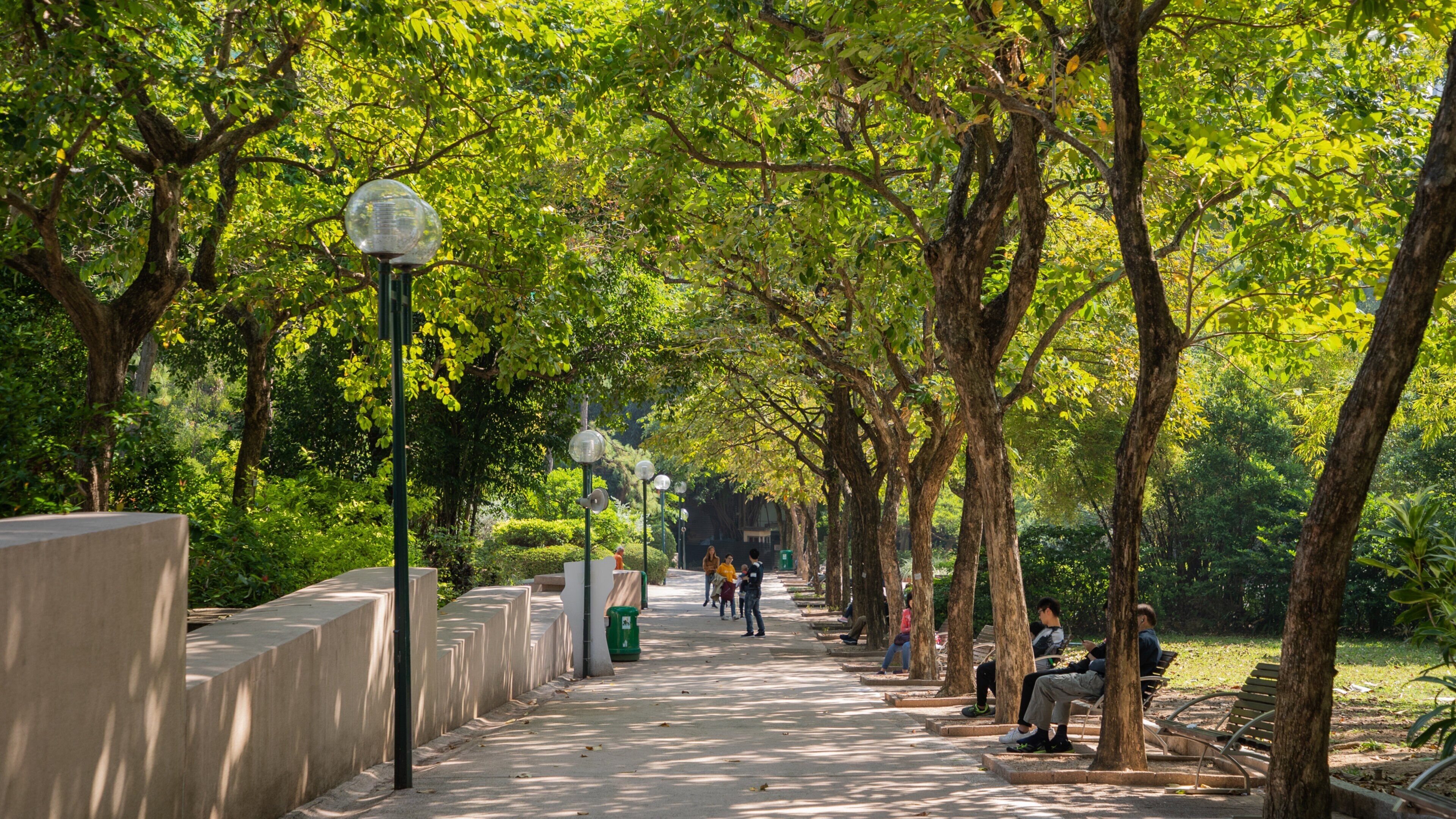 Kowloon Park which includes a park