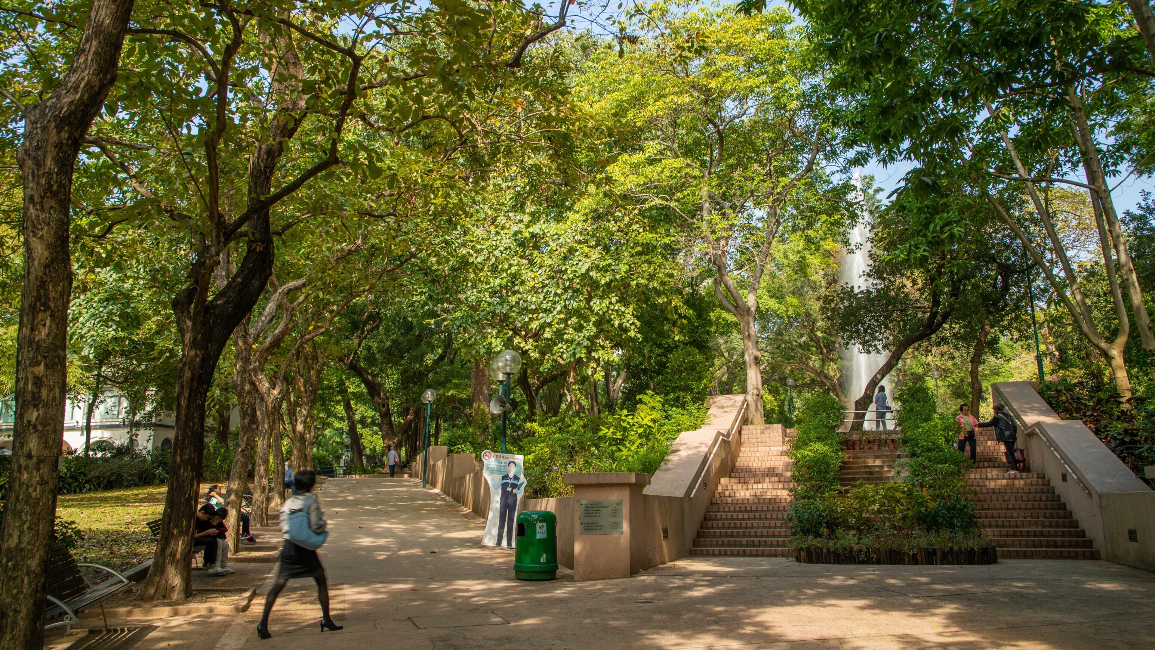 Kowloon Park featuring a park