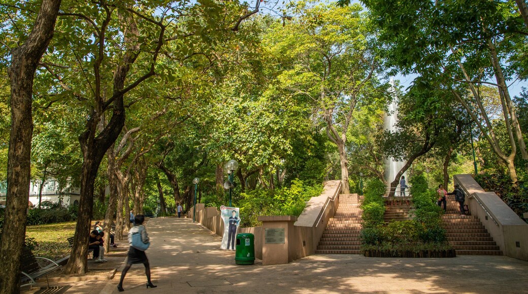 Kowloon Park featuring a park