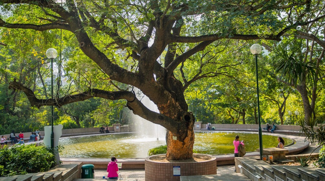 Kowloon Park showing a garden and a fountain