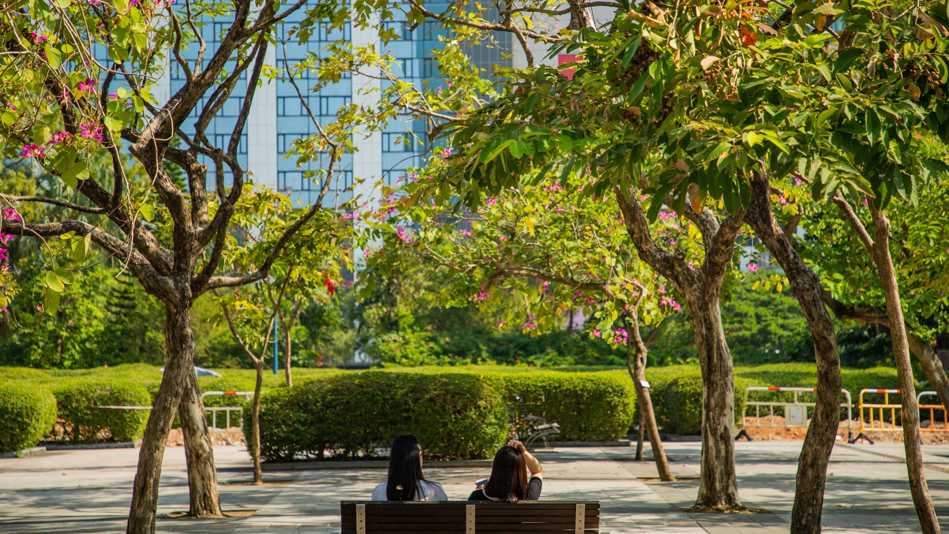 Kowloon Park showing a garden as well as a couple