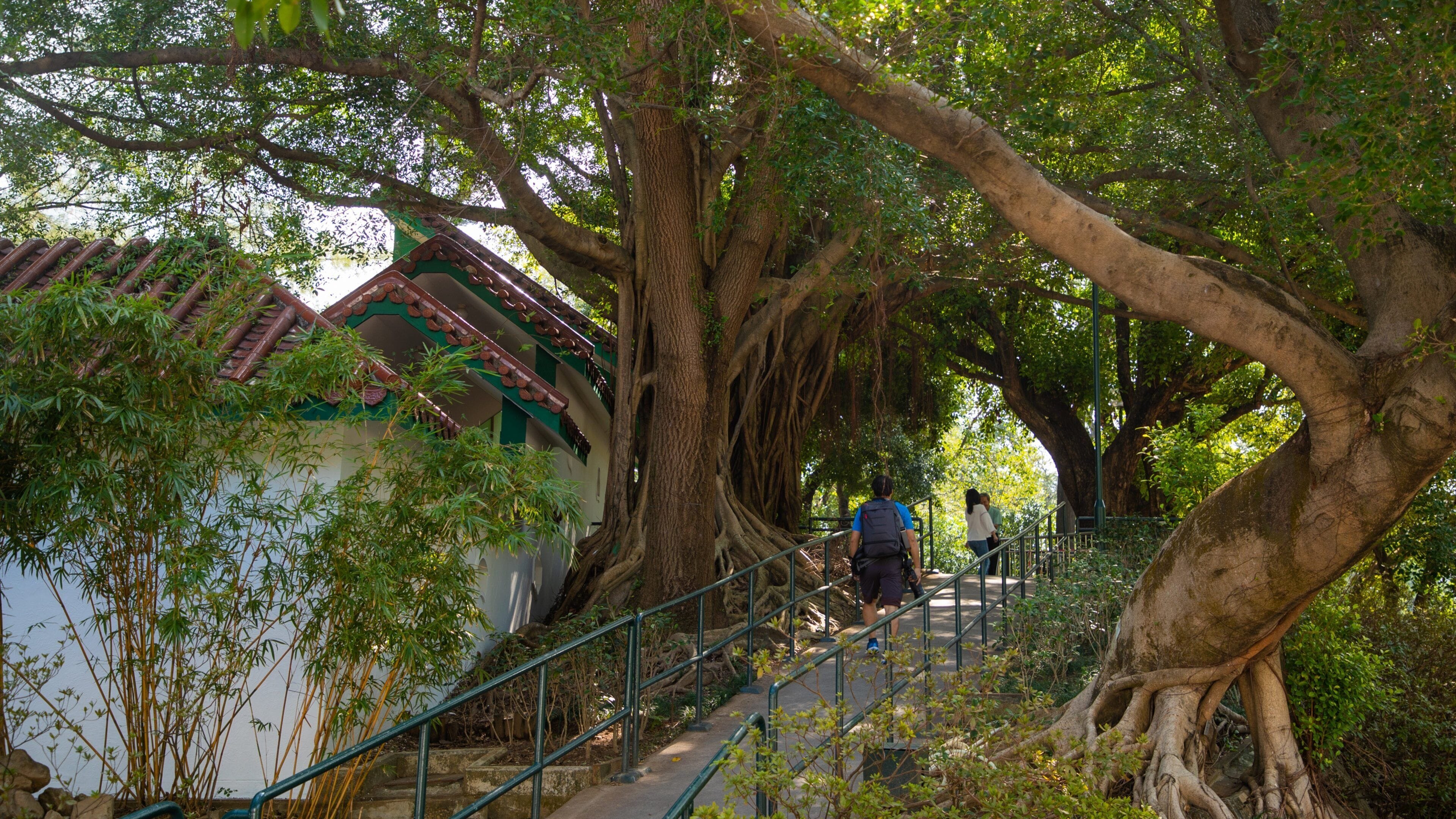 Kowloon Park showing a park