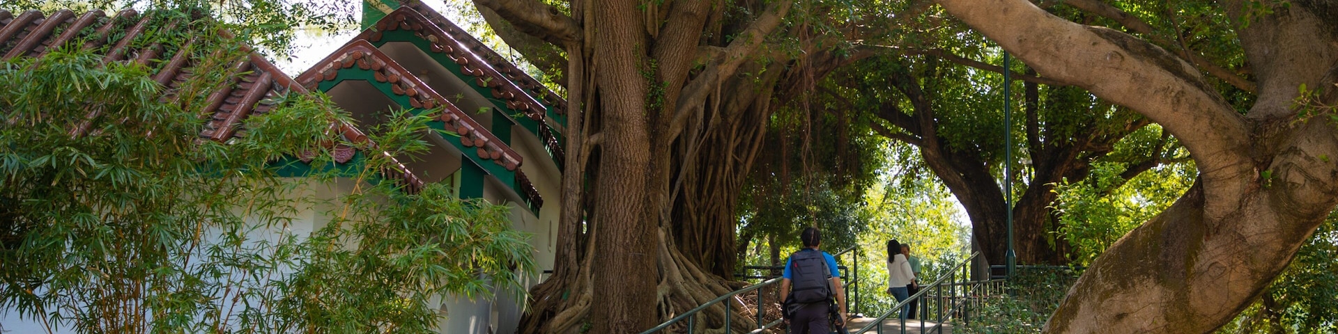 Kowloon Park showing a park