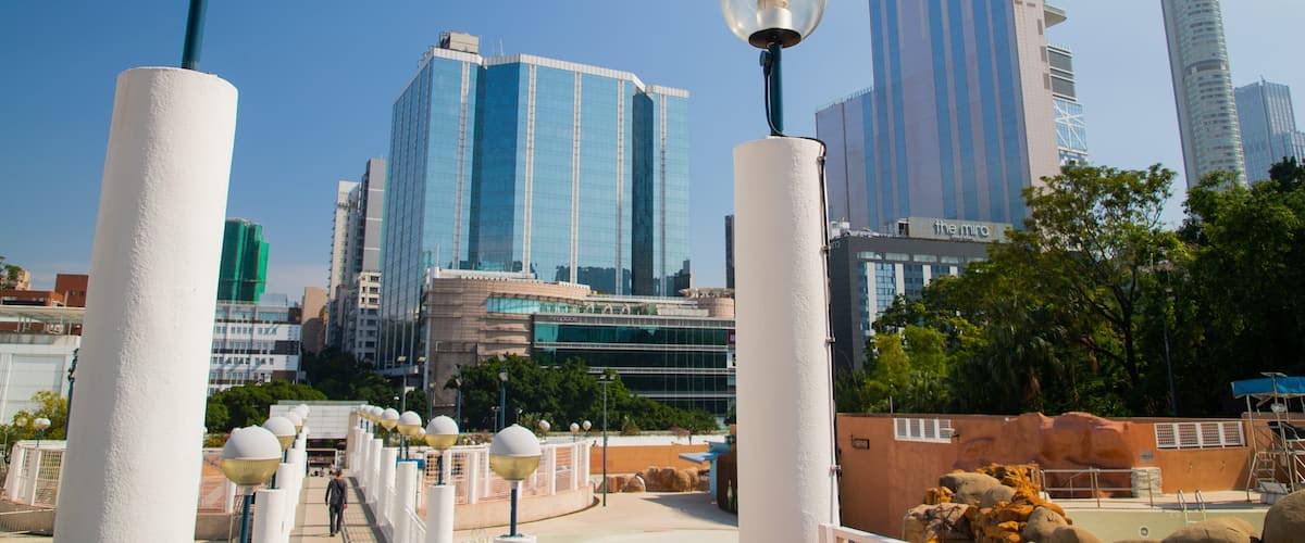 Kowloon Park showing a city