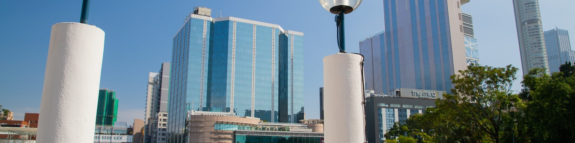 Kowloon Park showing a city