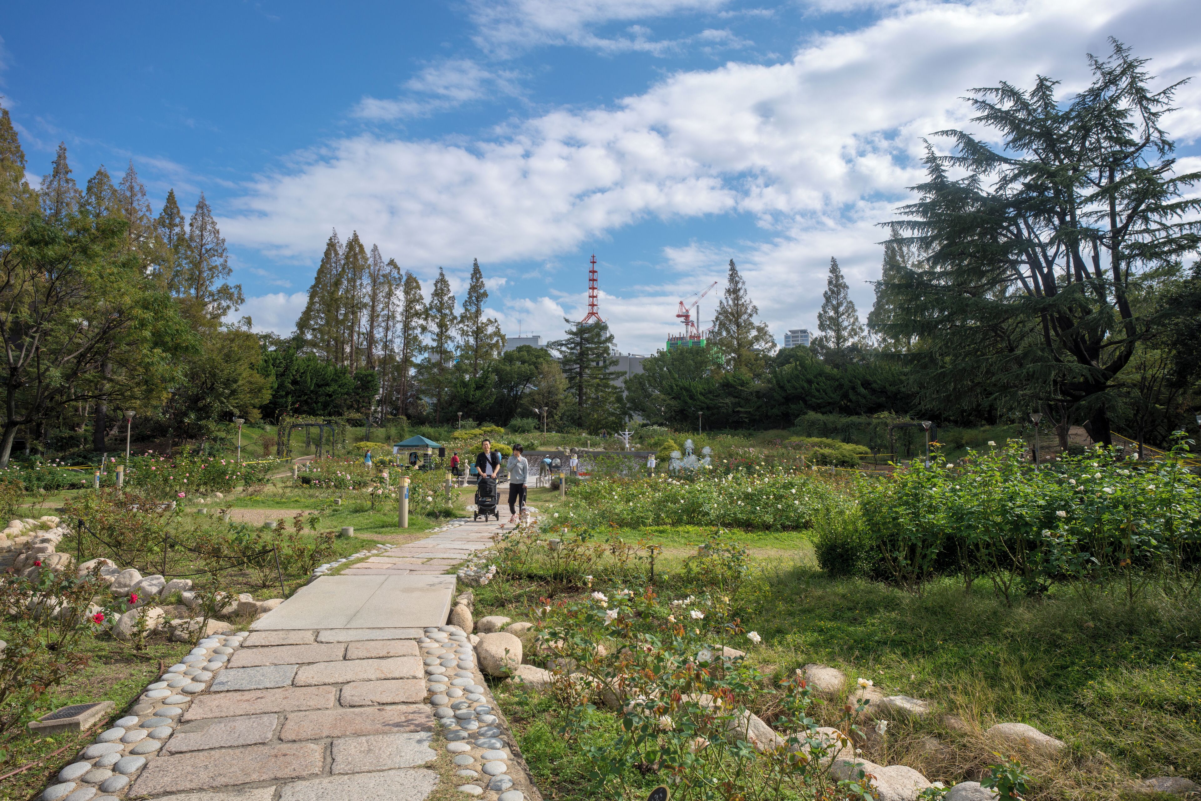 EyeEm Custom Shoots Q4 2018