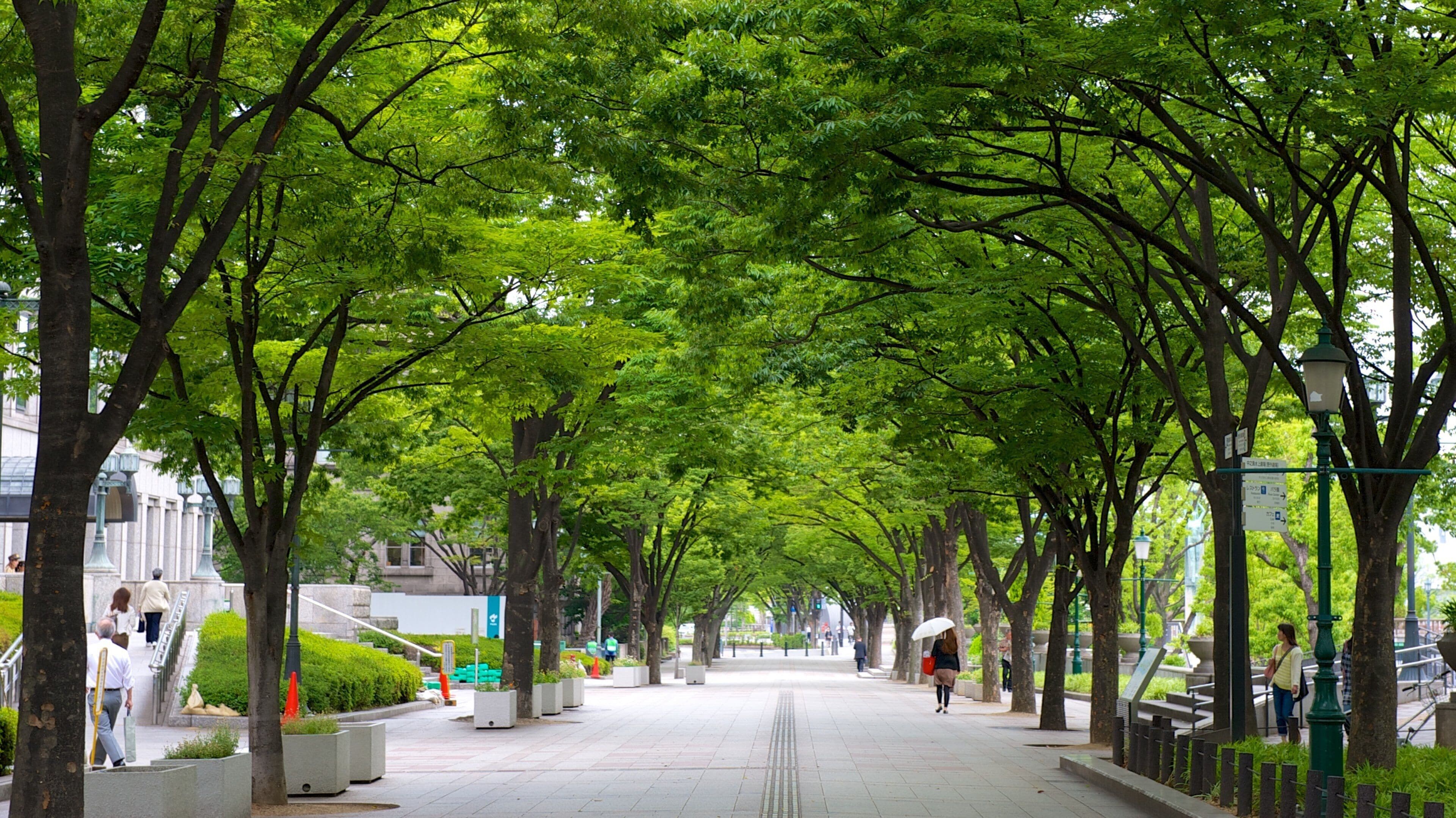 Nakanoshima Park showing a garden