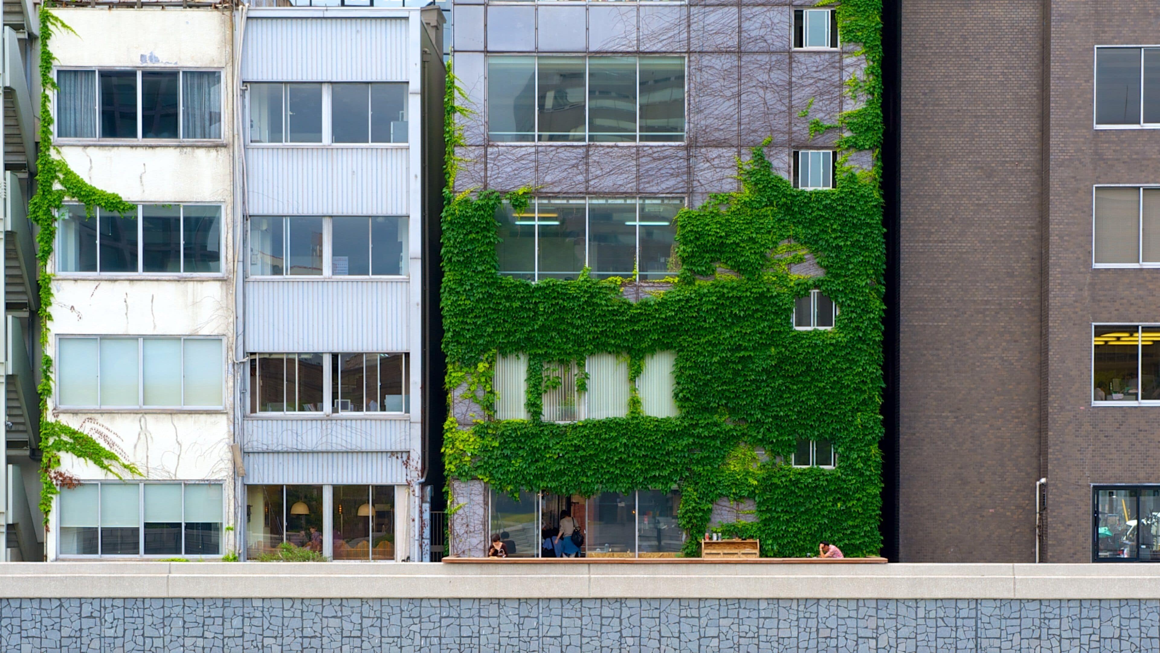 Nakanoshima Park showing a city