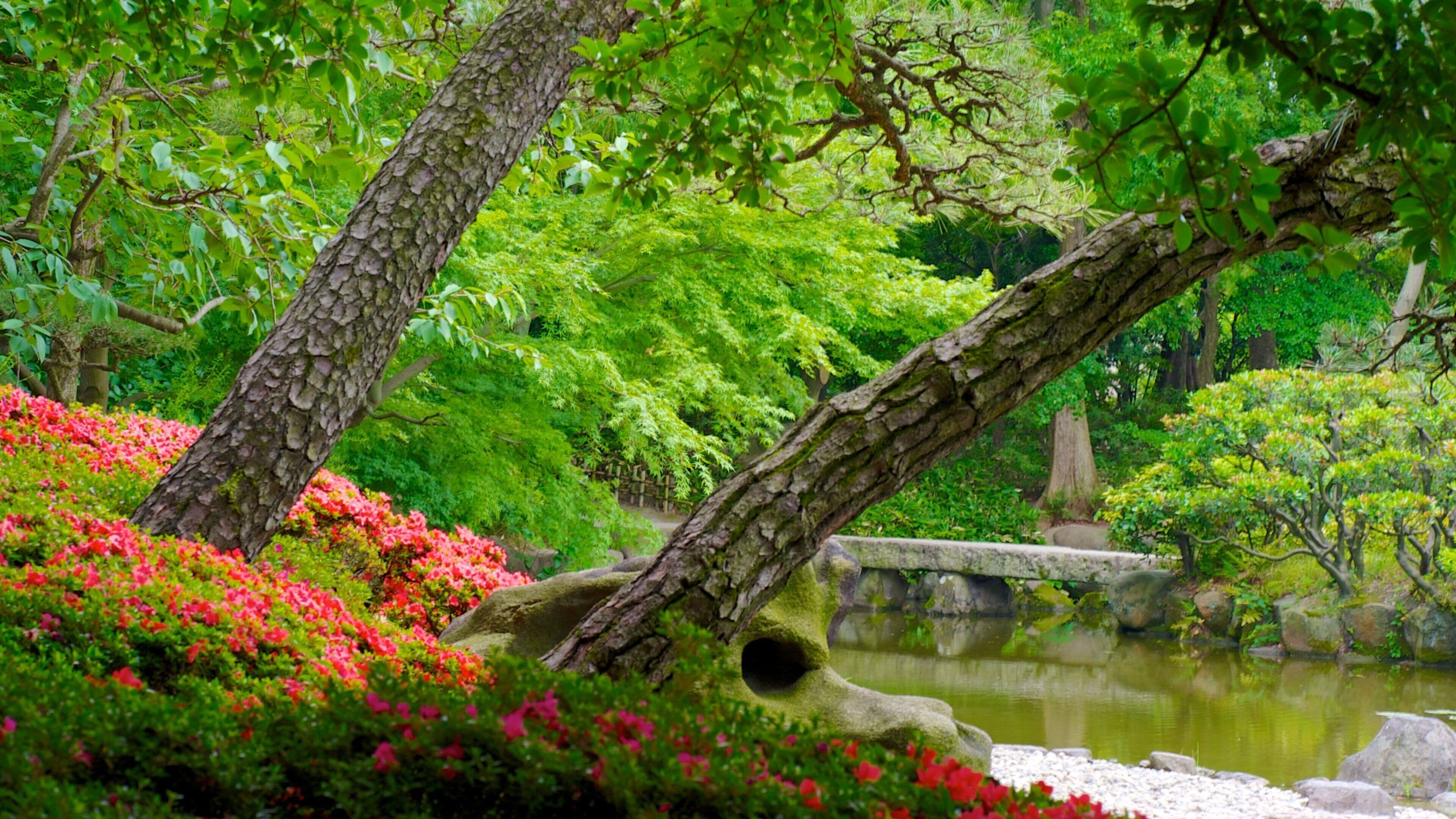 Tennoji Park featuring a pond, flowers and a park