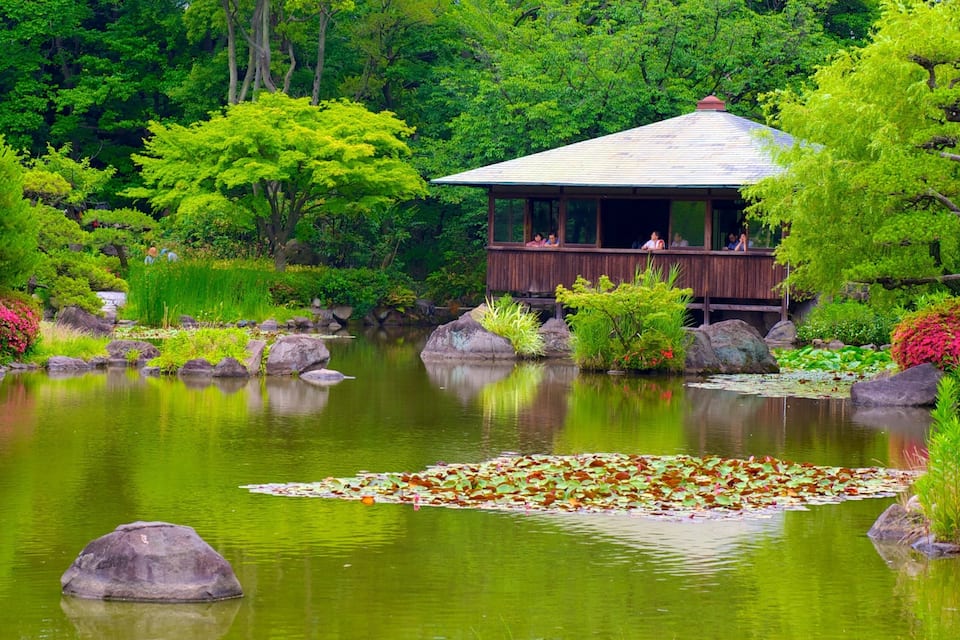 Un estany tranquil ple de timbales, envoltat de vegetació abundant i un pavelló de fusta.