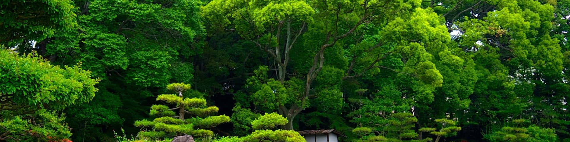 Tennoji Park featuring a garden, a pond and flowers