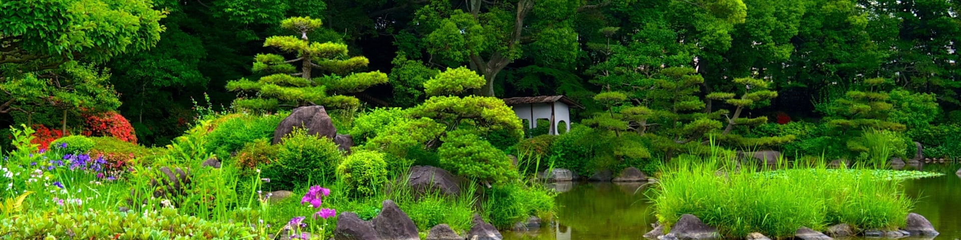 天王寺公園 呈现出 池塘, 花園 和 花卉