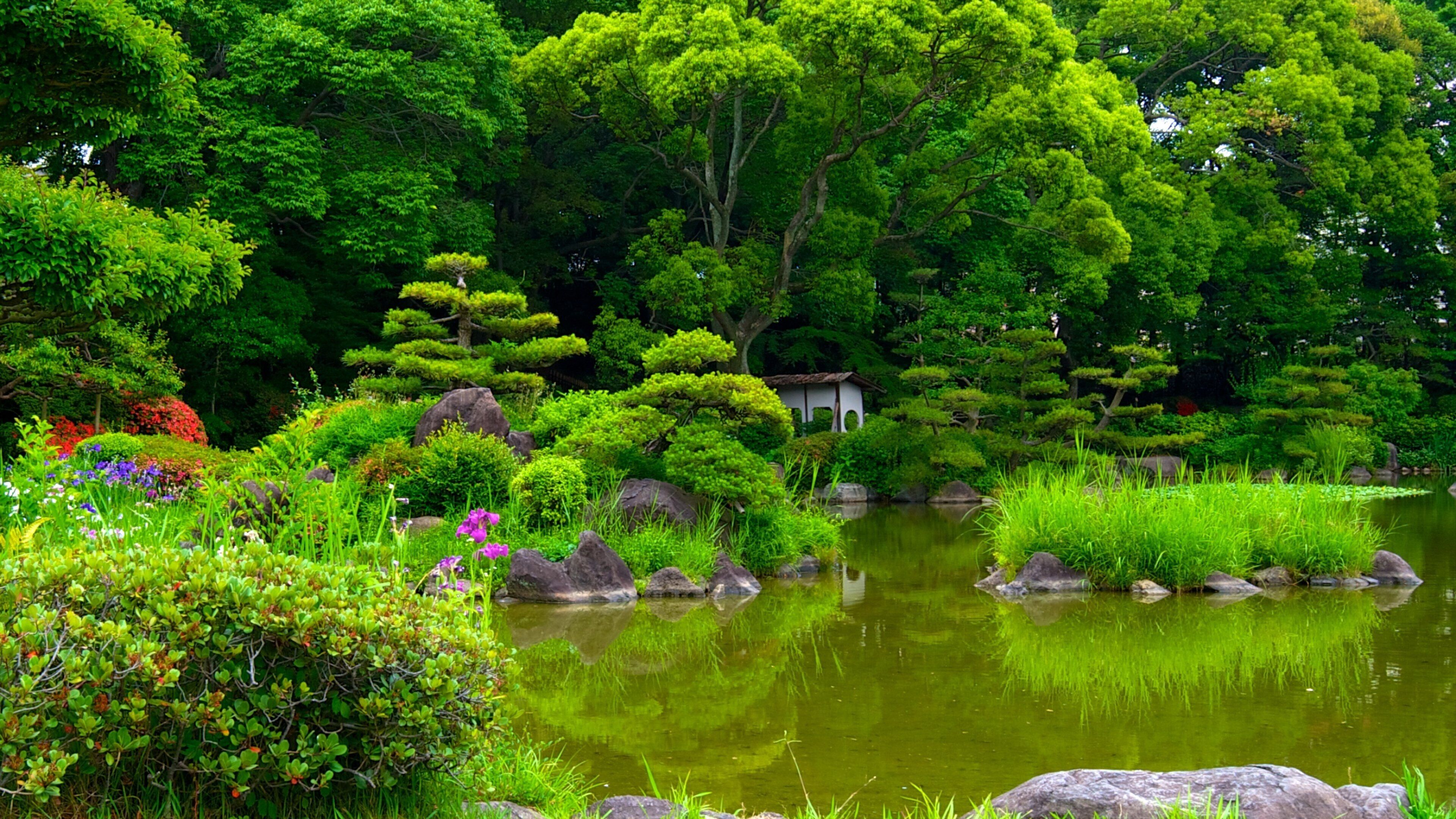 A serene Japanese garden with a pond, lush greenery, and a traditional building.