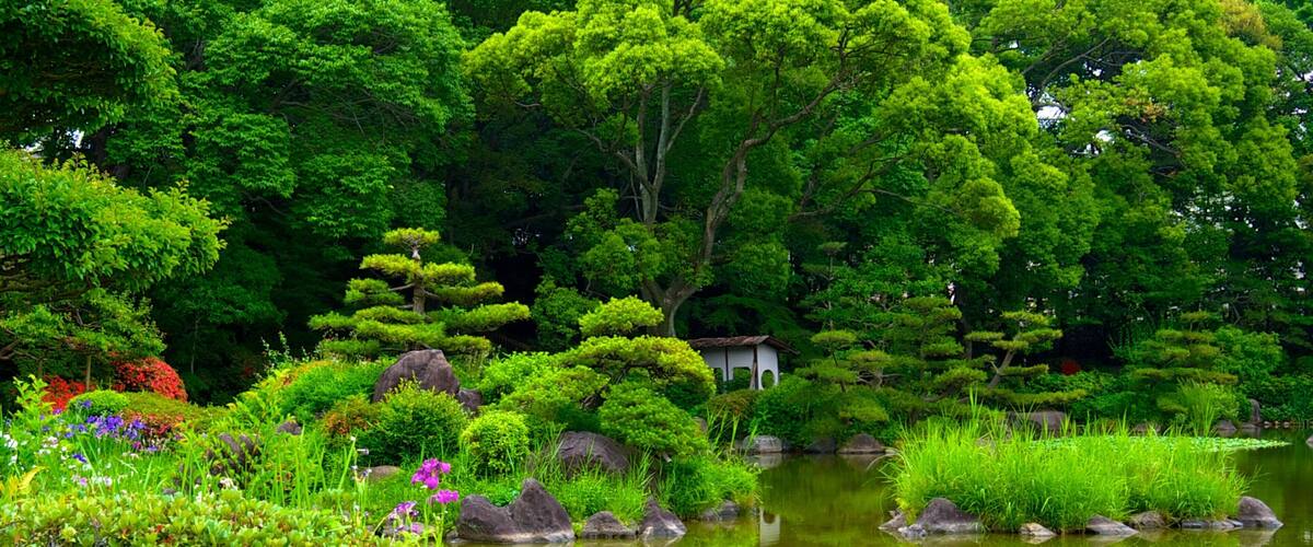 A serene Japanese garden with a pond, lush greenery, and a traditional building.
