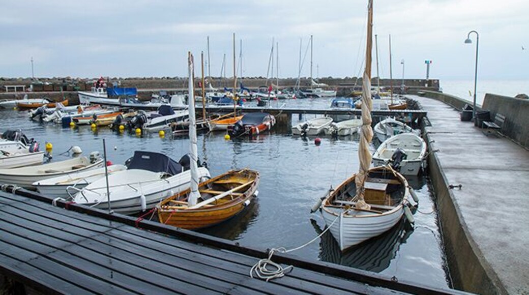 The fishing village Arild hangs almost in the slope down to the sea. Most houses are old and restored with great respect for traditional architectural traditions and culture. Thatched roofs are common in the village and the front gardens are almost overgrown by shrubs and all kind of flowers.
Read more: http://www.travelwithallsenses.com/sweden-tourism-wine-tasting-arild/