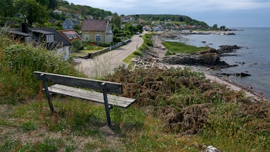 Arild