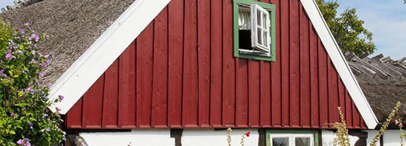 The old fishing village Arild has many traditional houses and beautiful small gardens.
Read more: http://www.travelwithallsenses.com/sweden-tourism-wine-tasting-arild/