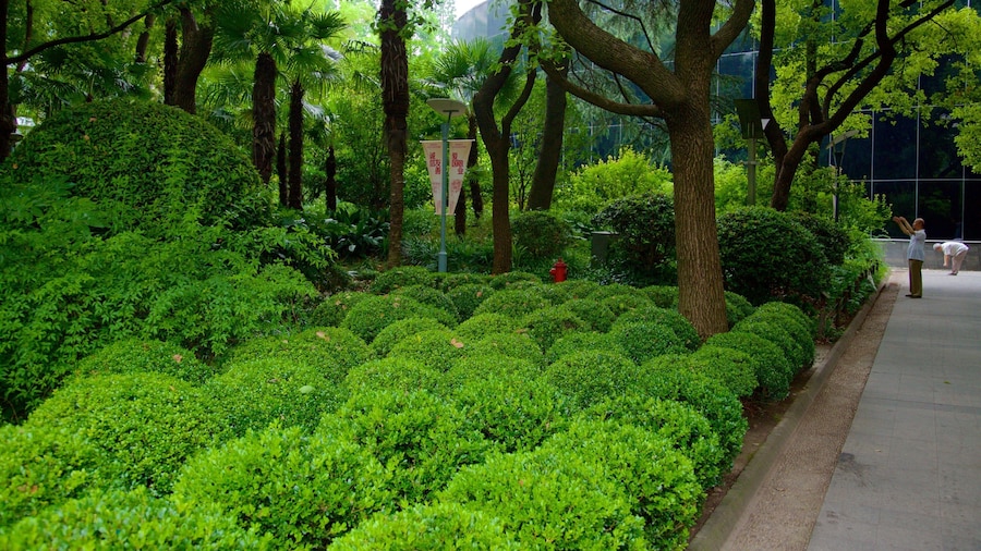 People\'s Square which includes a garden