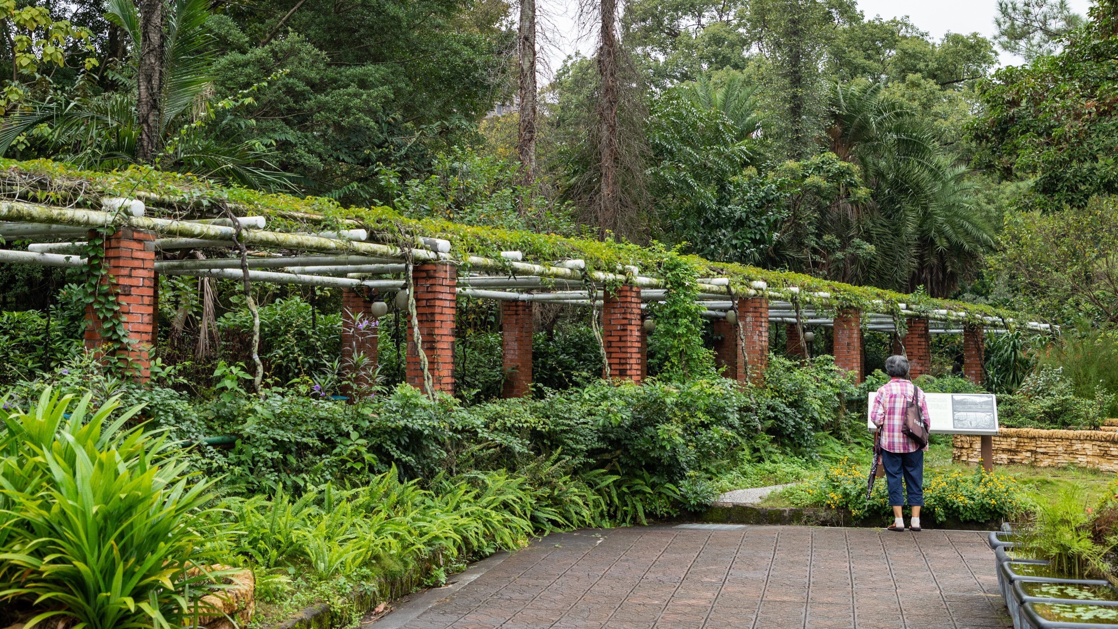 Taipei Botanical Garden
