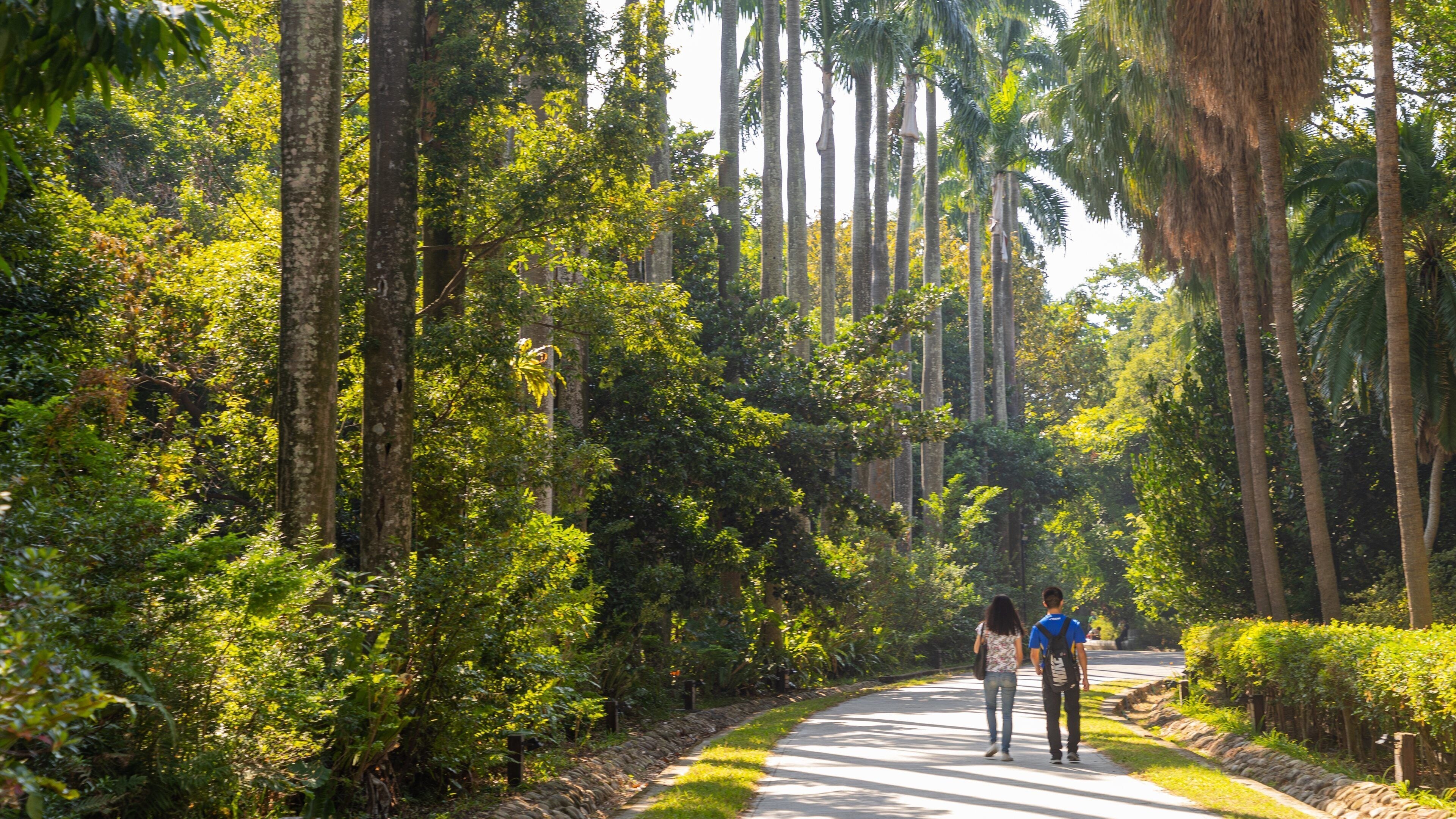 Taipei Botanical Garden