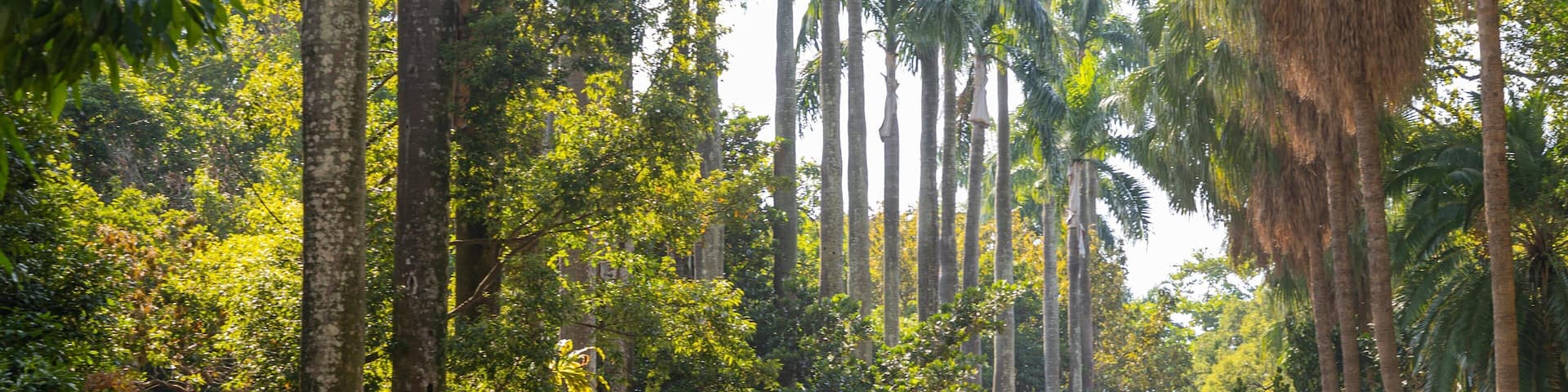 Taipei Botanical Garden