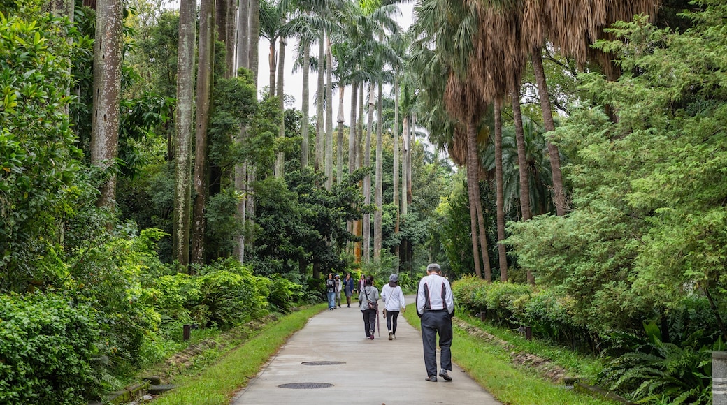 Taipei Botanical Garden