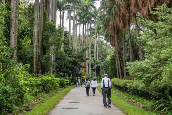 Taipei Botanical Garden