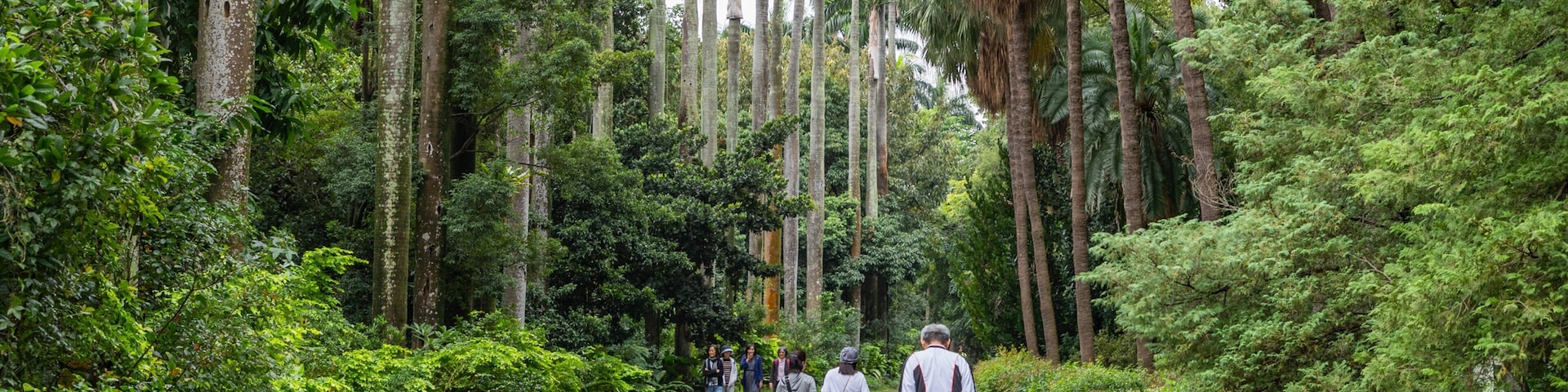 Taipei Botanical Garden