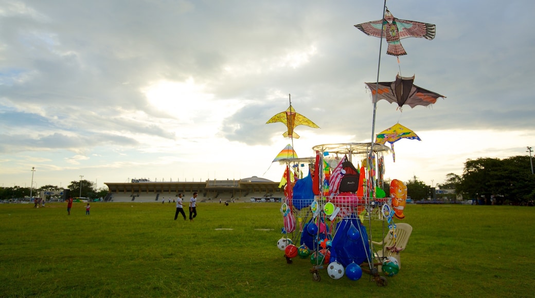 Rizal Park showing a park