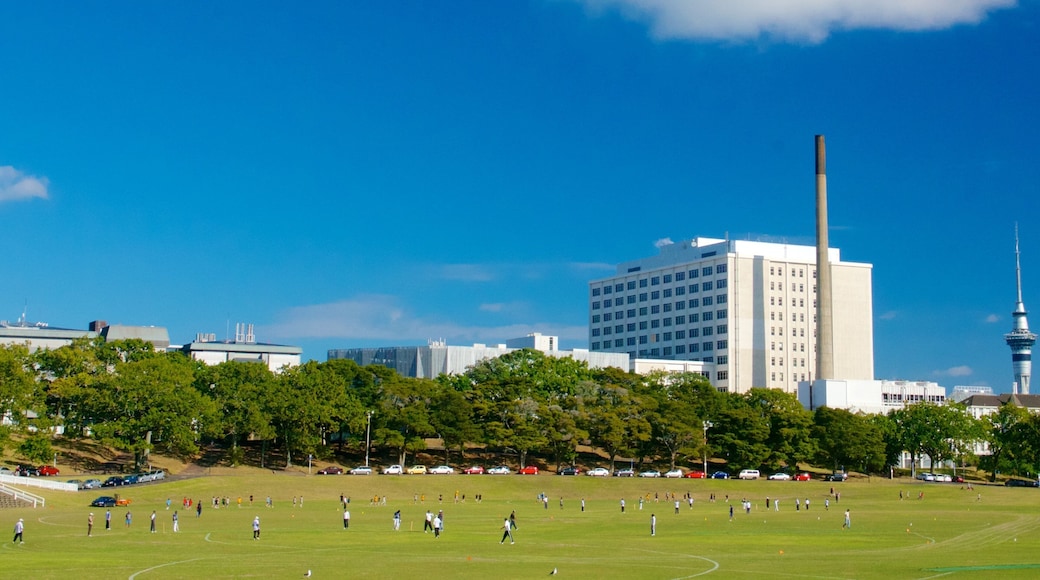 Auckland Domain which includes a city, a garden and skyline