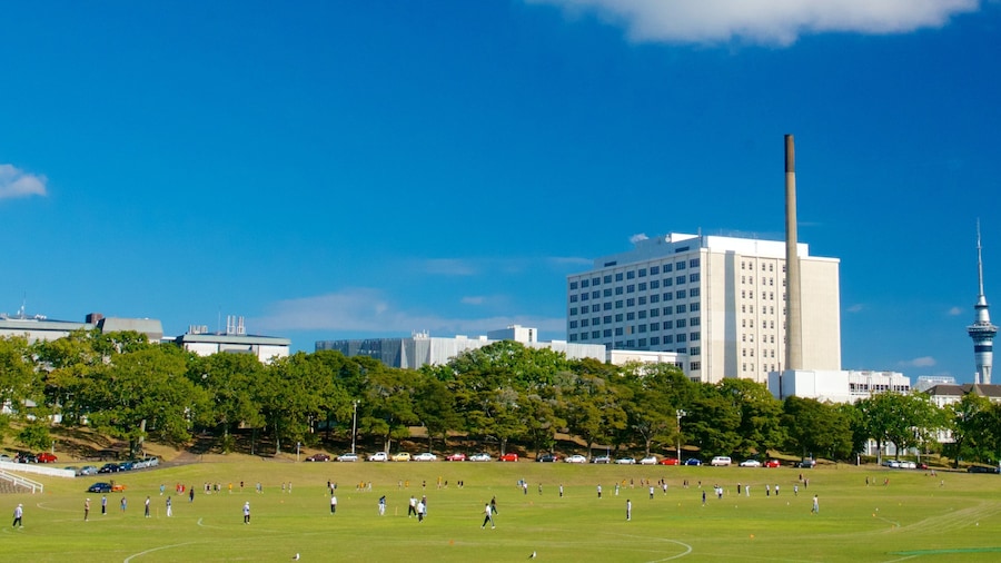 Auckland Domain toont skyline, een stad en een park