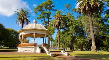 Công viên Auckland Domain cho thấy công viên